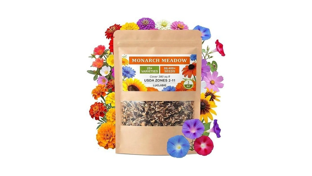 Wildflower Seeds Mix (3oz) - 89.400+seeds - Non-gmo Milkweed Seeds