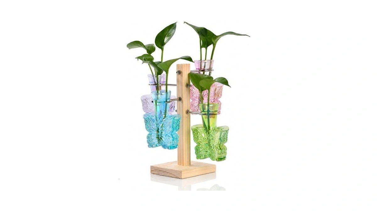 Nacome Plant Terrarium Propagation Stations: Colored Vase With Wooden Stand