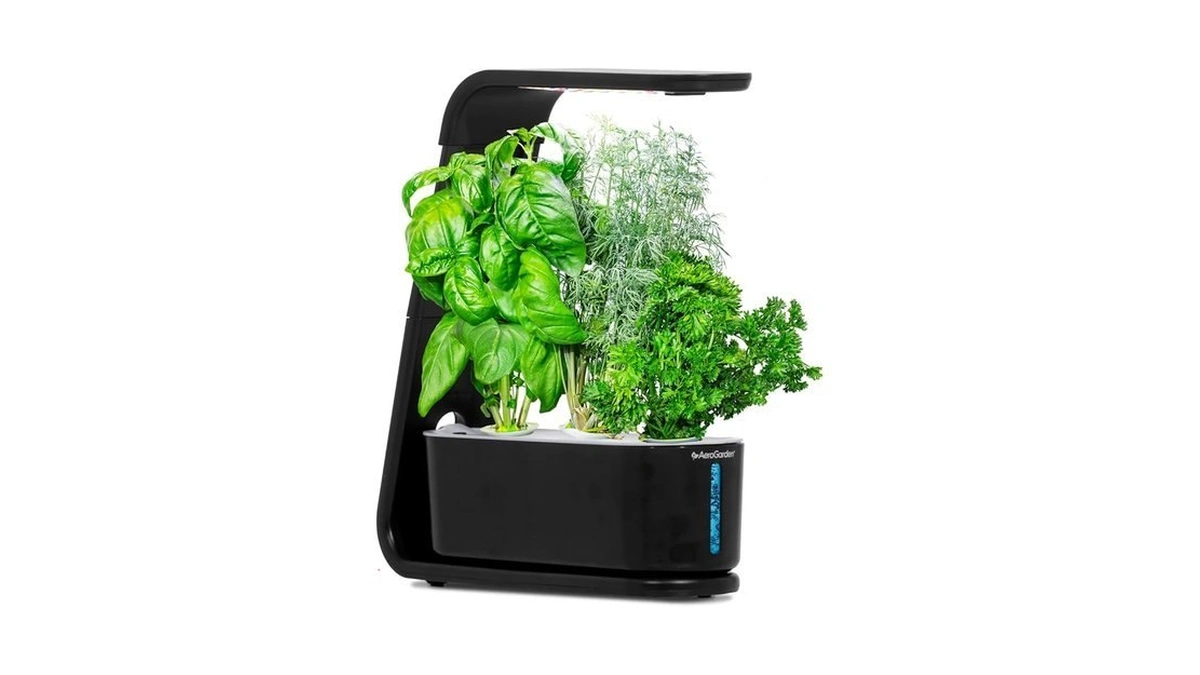 Aerogarden Sprout - Indoor Garden With Led Grow Light, Black