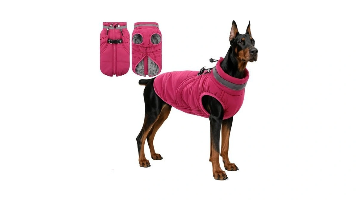 Sawmong Windproof Waterproof Dog Coat, Reflective Dog Jacket With Built-in