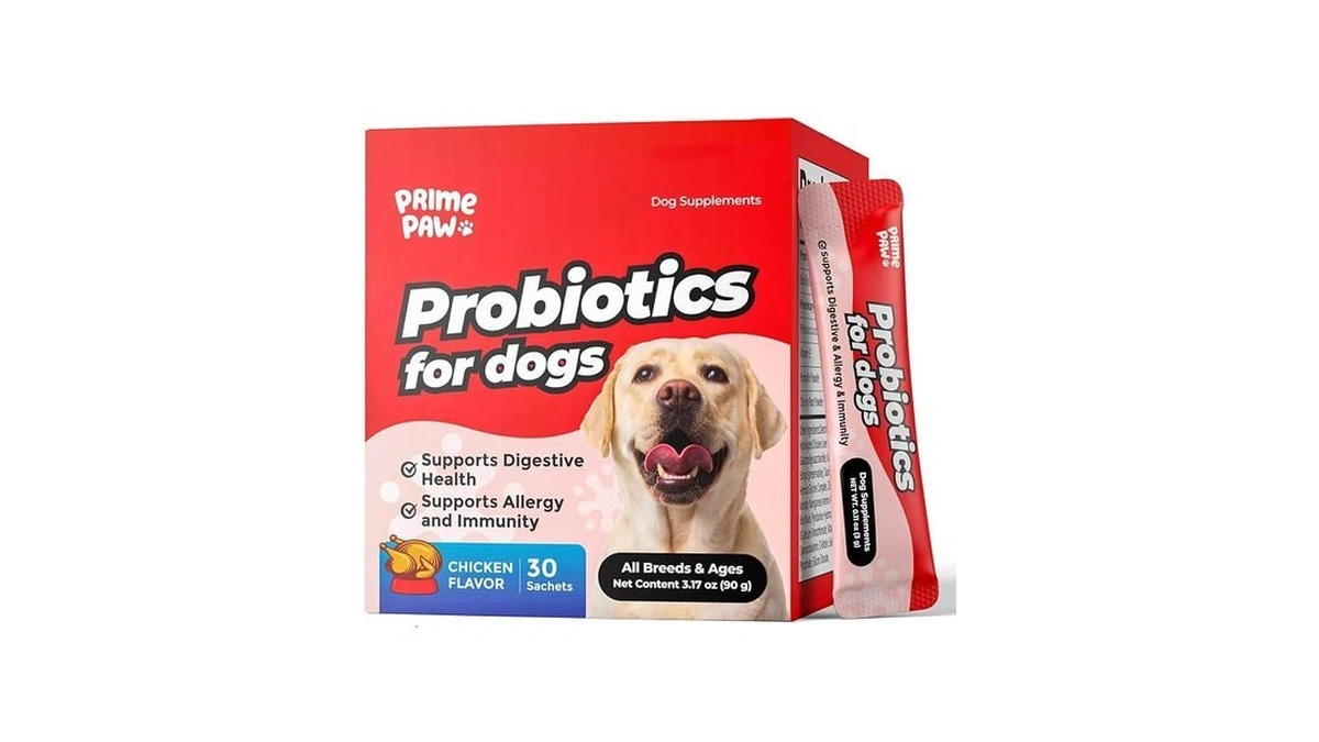Postbiotics For Dogs Digestive Health, 20 Billion Cfu Dog Probiotic
