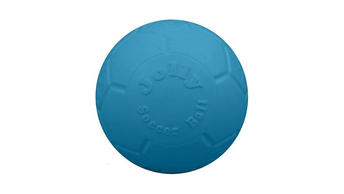 Jolly Pets Large Soccer Ball Floating-bouncing Dog Toy, 8 Inch
