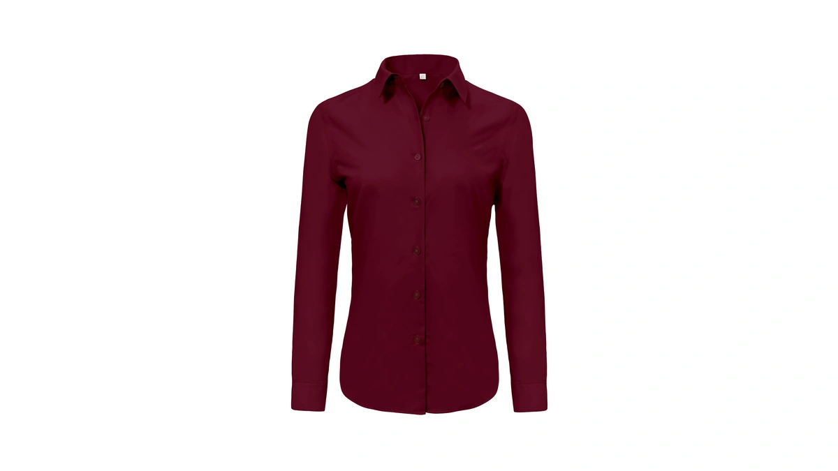 Ruisin Women's Dressy Long Sleeve Button-down Shirt, Wrinkle-free Work Blouse,