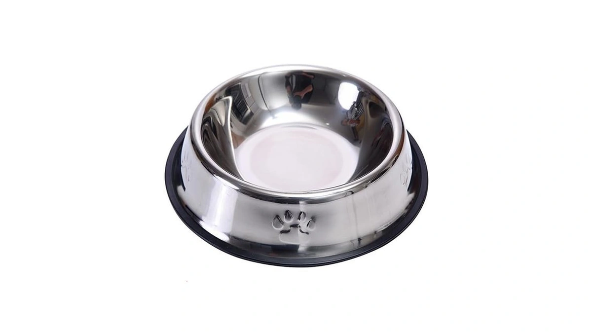 Family's Backyard Dog Bowls,stainless Steel Dog And Cat Bowls, With