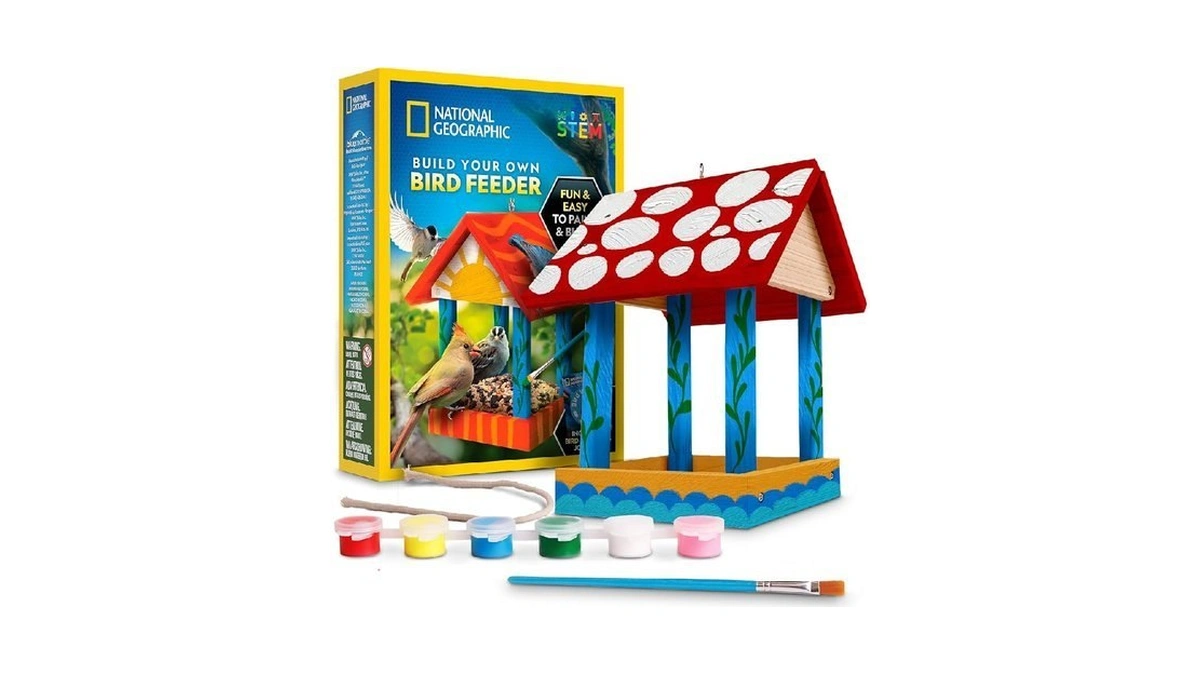 National Geographic Build Your Own Bird Feeder Craft Kit For