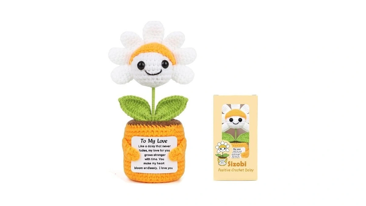 Sizobi Valentines Day Gifts For Him Her - Positive Daisy