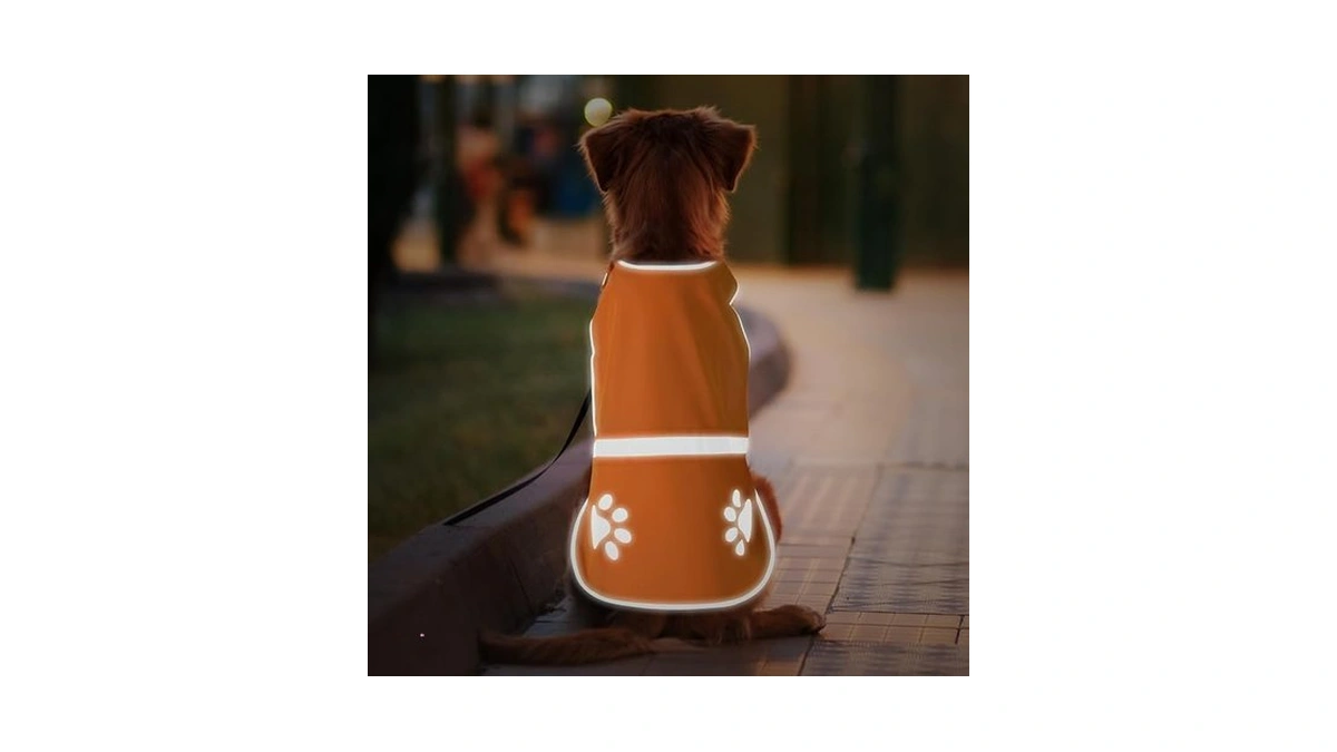 Candofly Reflective Dog Vest, High Visibility Safety Pet Hunting Jacket