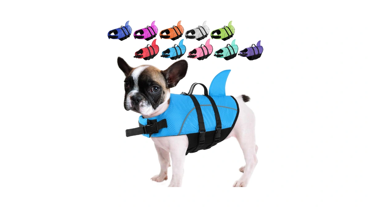 Queenmore Small Dog Life Jacket,shark Dog Life Vest For Swimming,puppy
