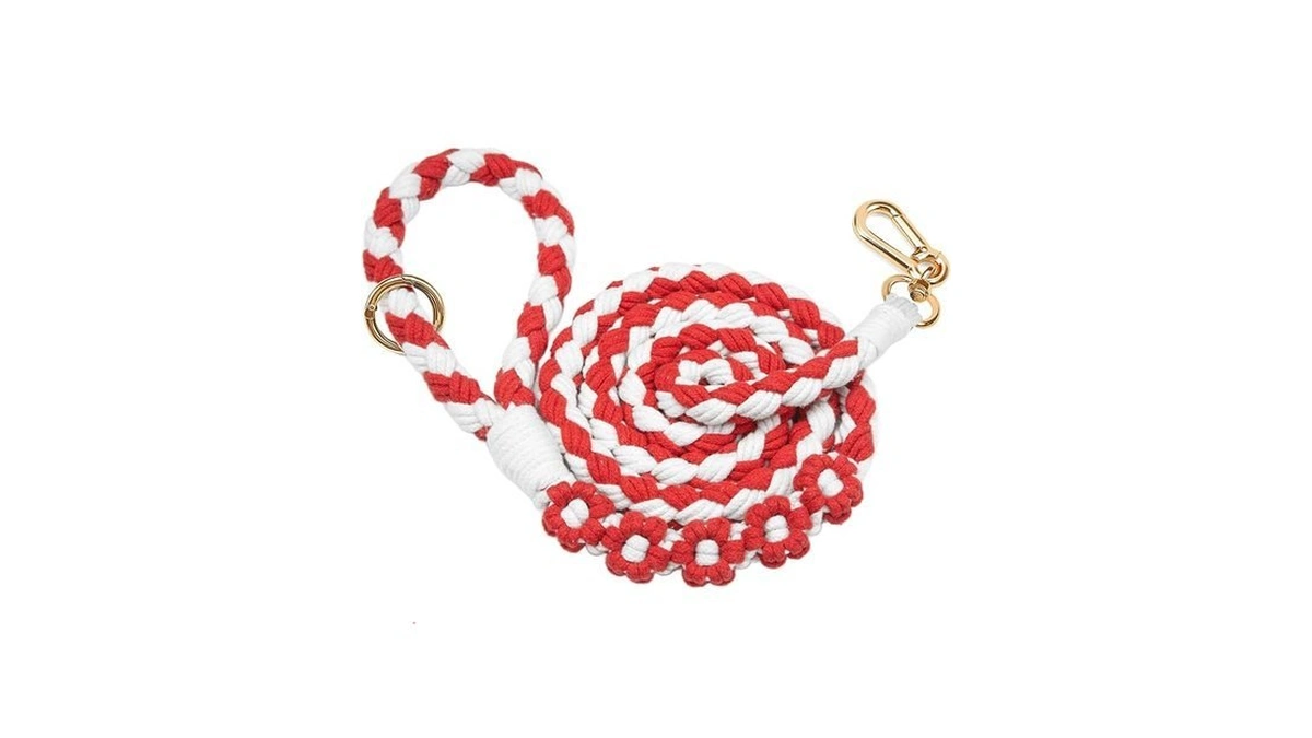Handmade 5ft Braided Cotton Dog Leash With Unique Floral Handle,