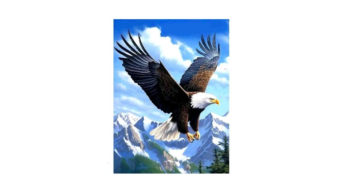 Sanyun Hawk Diamond Art Kits For Adults &beginner, Animals Diamond