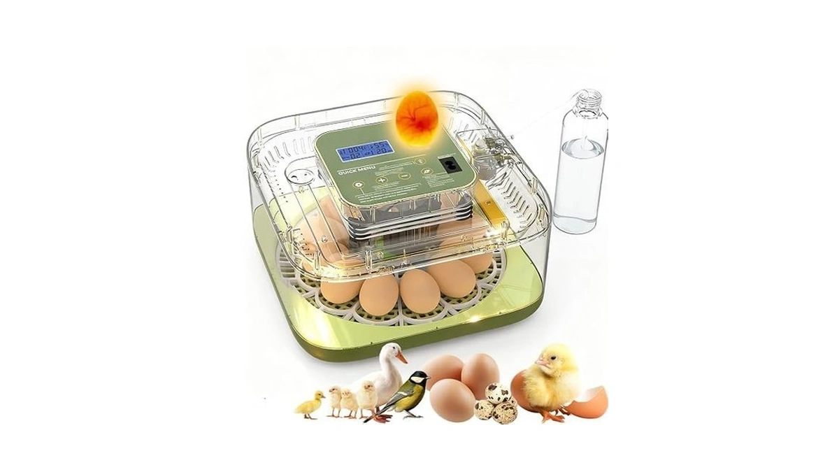 Xotti Incubator For Hatching Egg, 12 Egg Incubators With Temperature