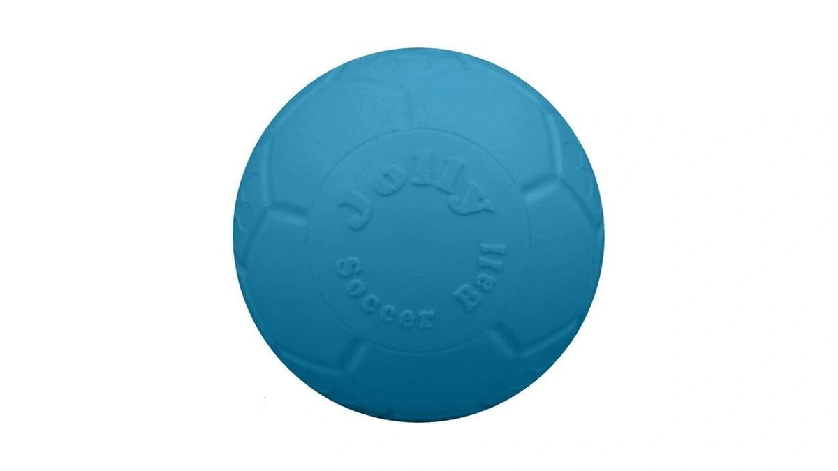 Jolly Pets Large Soccer Ball Floating-bouncing Dog Toy, 8 Inch