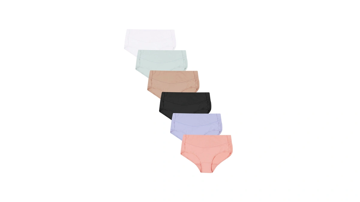 Hanes Womens Signature Smooth Women's Microfiber Underwear 6-pack Briefs, Assorted,