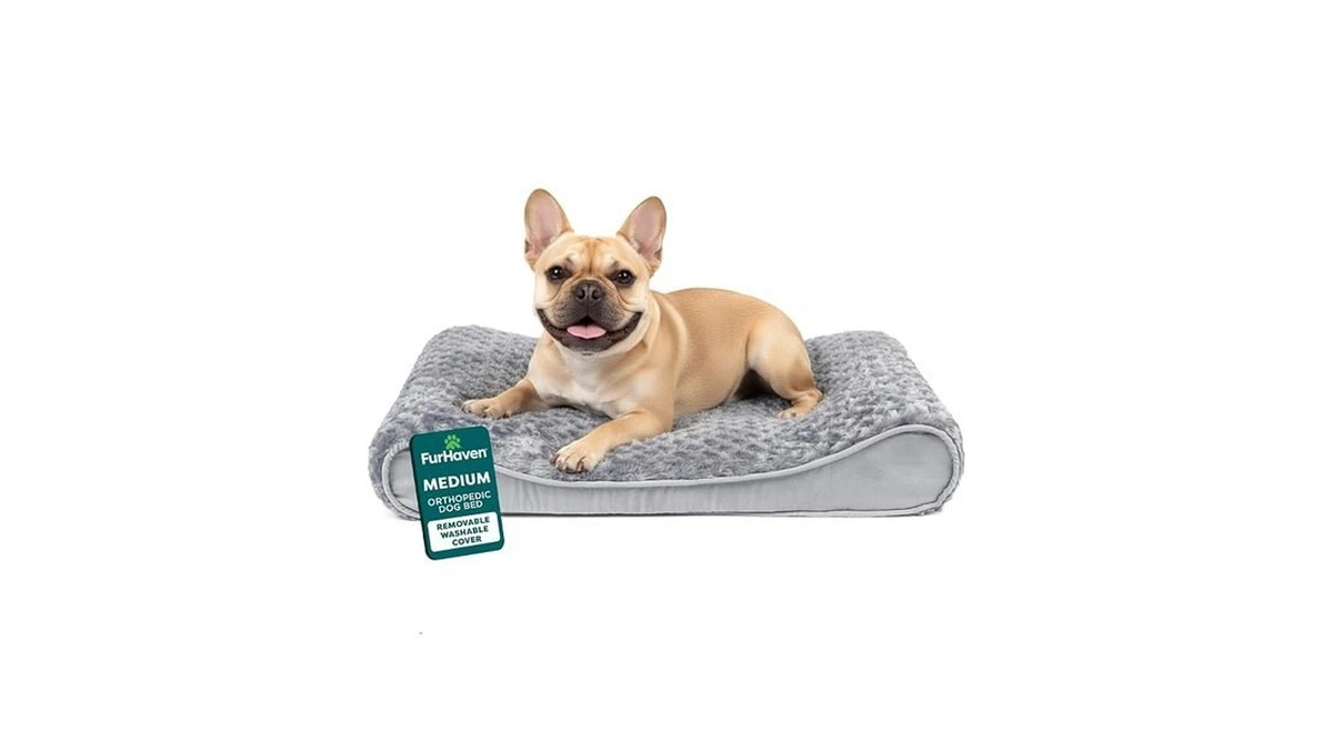 Furhaven Orthopedic Dog Bed For Medium Dogs, Luxe Lounger Contour