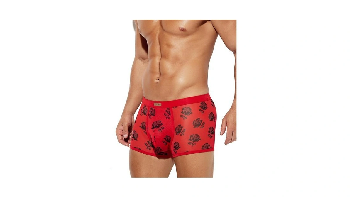 Arjen Kroos Men Sexy Mesh Boxer Briefs Low Rise Stretch