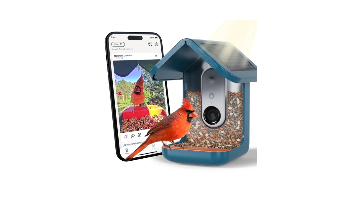 Birdbuddy Pro Solar Smart Bird Feeder With Camera - Ai