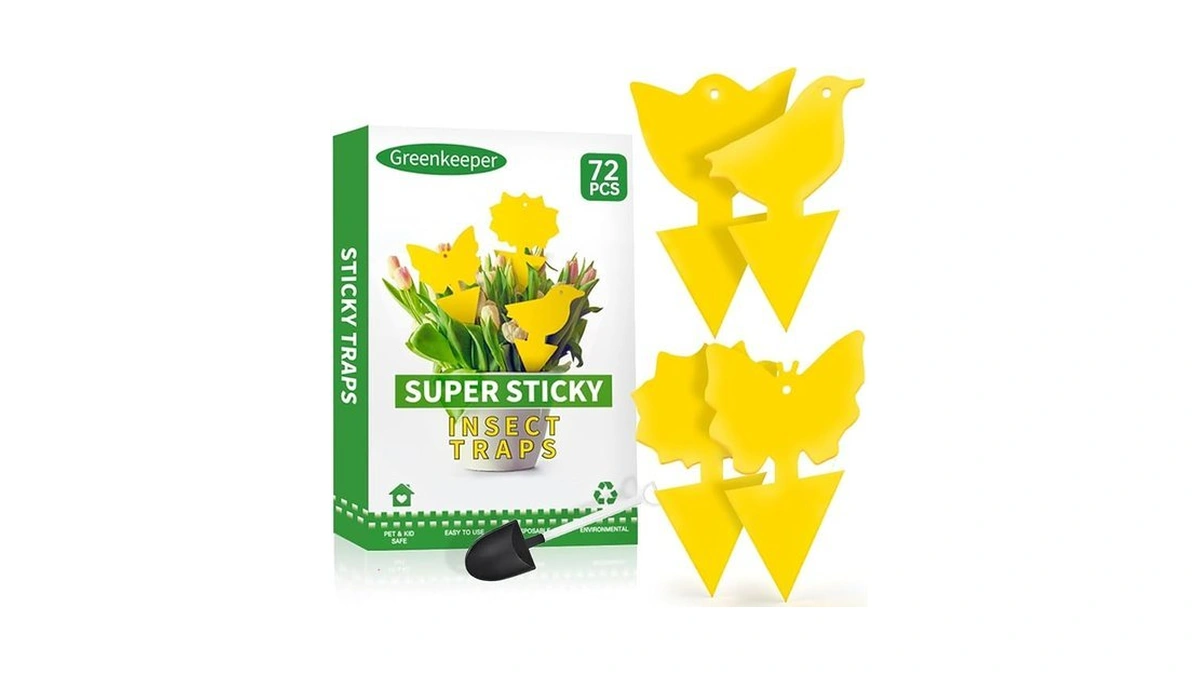 72 Pcs Classic Sticky Traps For Fungus Gnat (plants), Flying