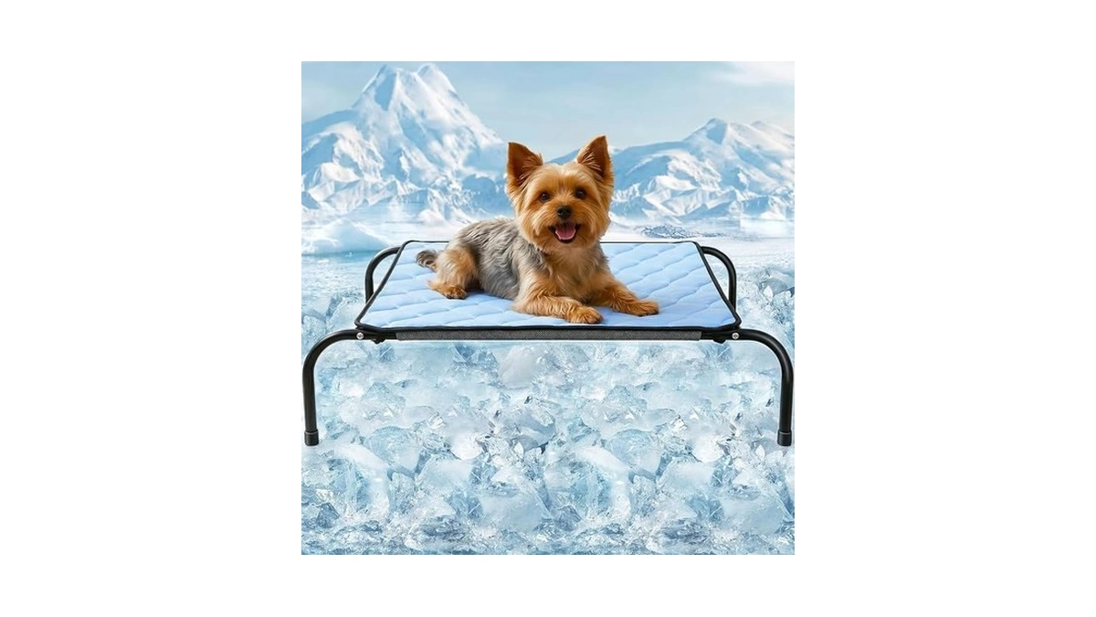 Szee Elevated Dog Bed, Cooling Dog Cot Bed, Support Up