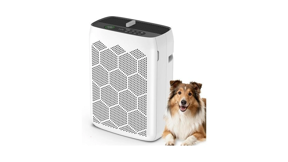 Domotrix Air Purifiers For Home Large Room Up To 2200