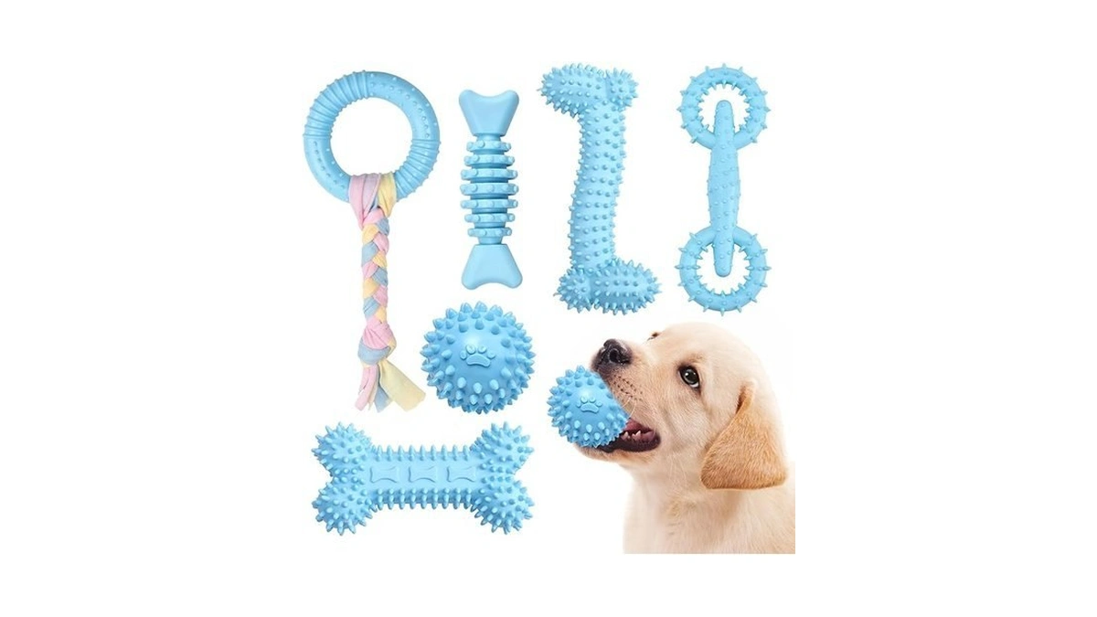 Bininl 6 Pack Dog Chew Toys For Puppy Cute Blue
