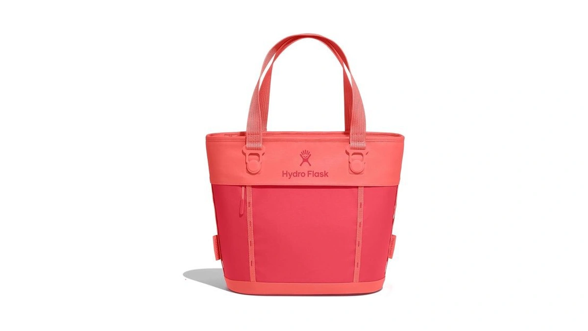 Hydro Flask Carryout Tote - Insulated Tote Bag - 10