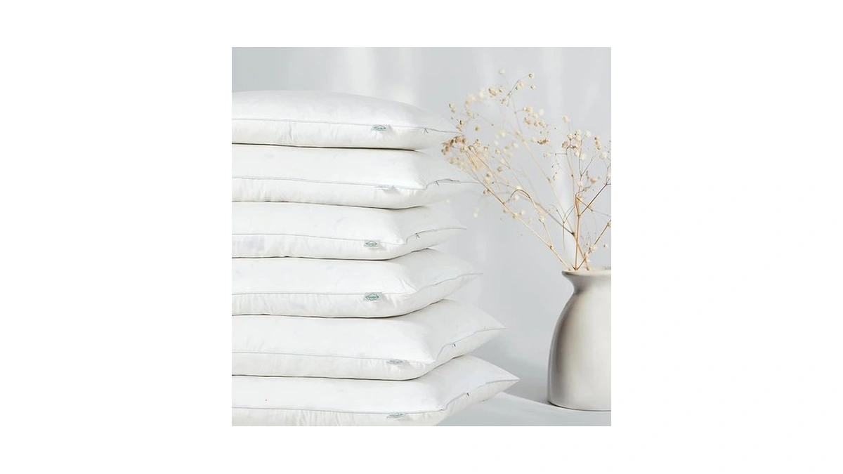 Cloudote Goose Feather Down Throw Pillow Insert (24"x24", Pack Of
