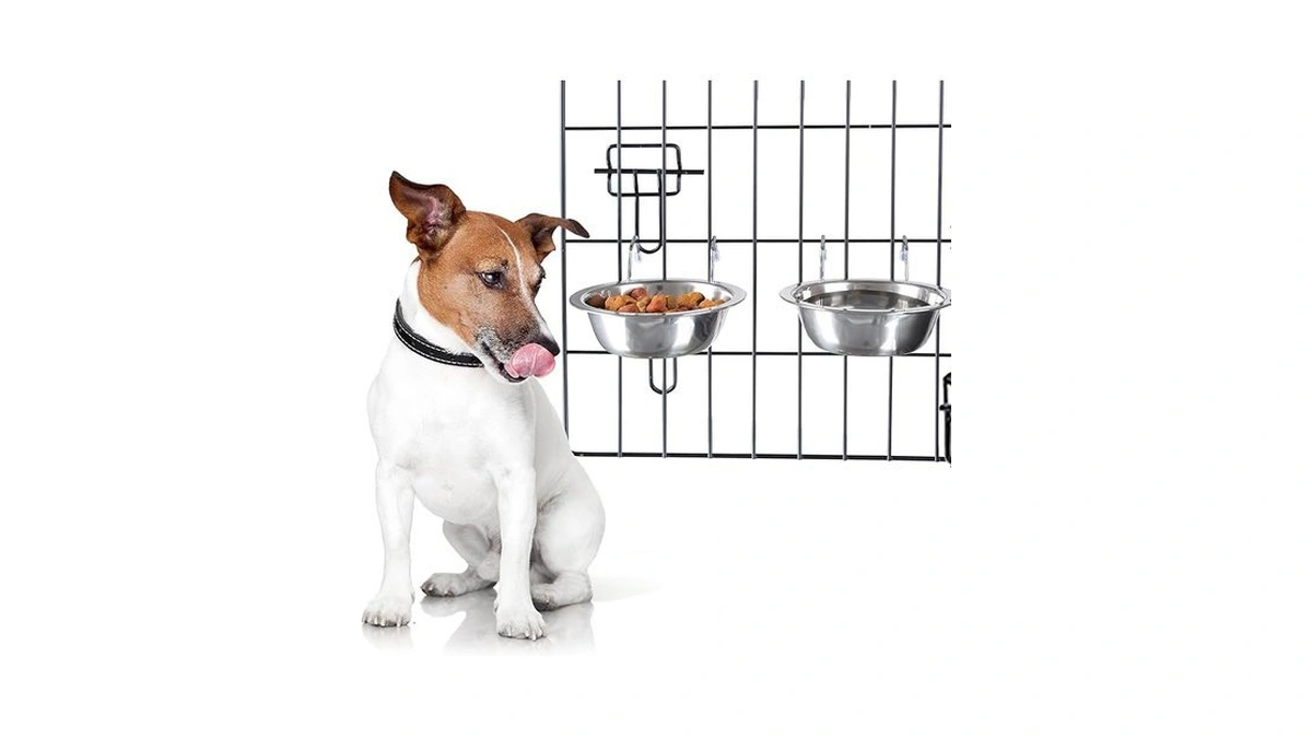 Set Of 2 Stainless-steel Dog Bowls - Cage, Kennel, And