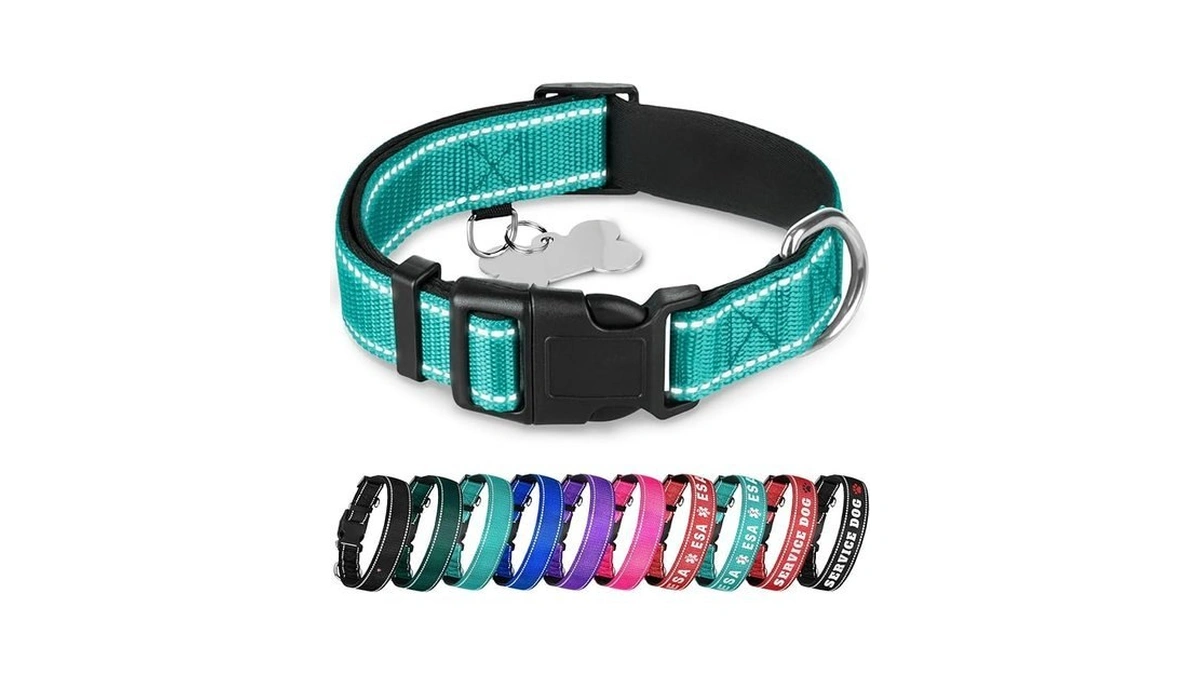 Teceum Reflective Dog Collar – Aquamarine – M – Extra