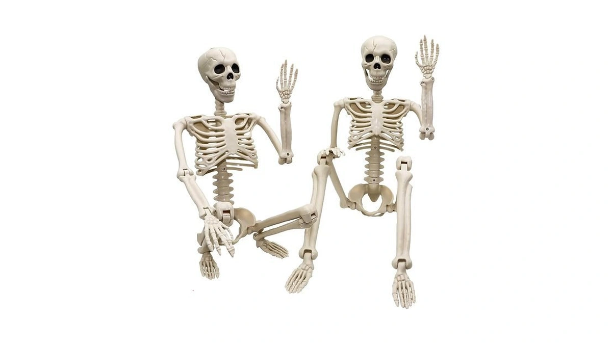 2 Pack 36"halloween Skeleton - 3 Ft Life Size Human
