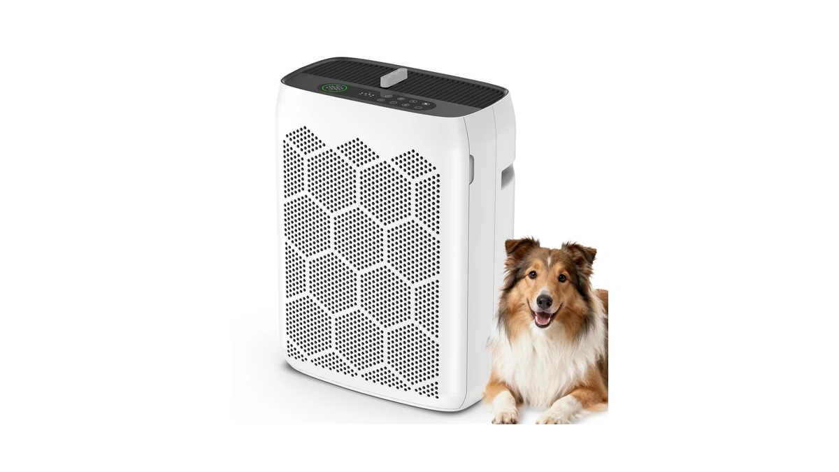 Domotrix Air Purifiers For Home Large Room Up To 2200