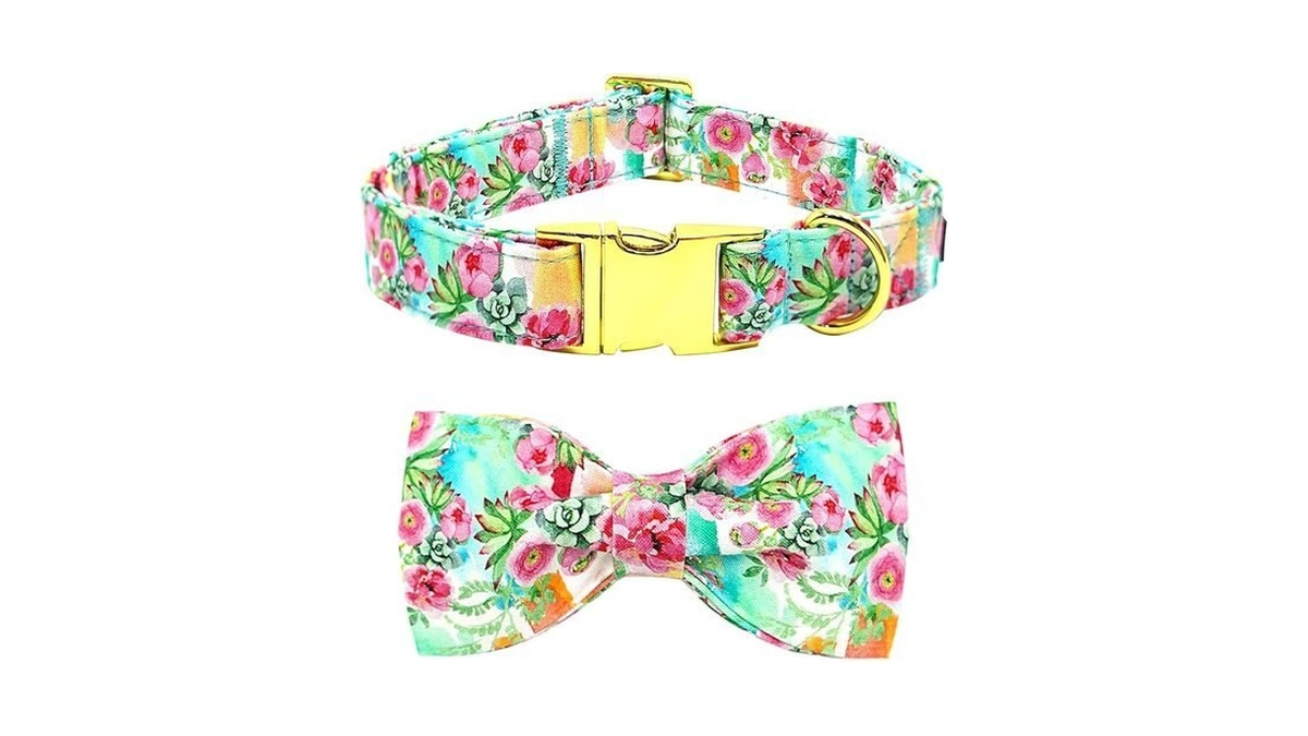 Bobo Rainbow Dog Collar Cute Flowers Print Pet Collar Soft