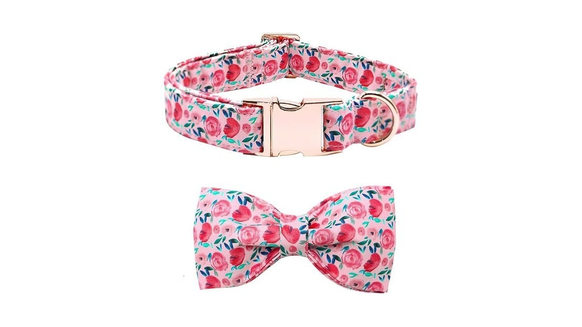Bobo Rainbow Dog Collar Pink Flowers Print Girl Cute Puppy