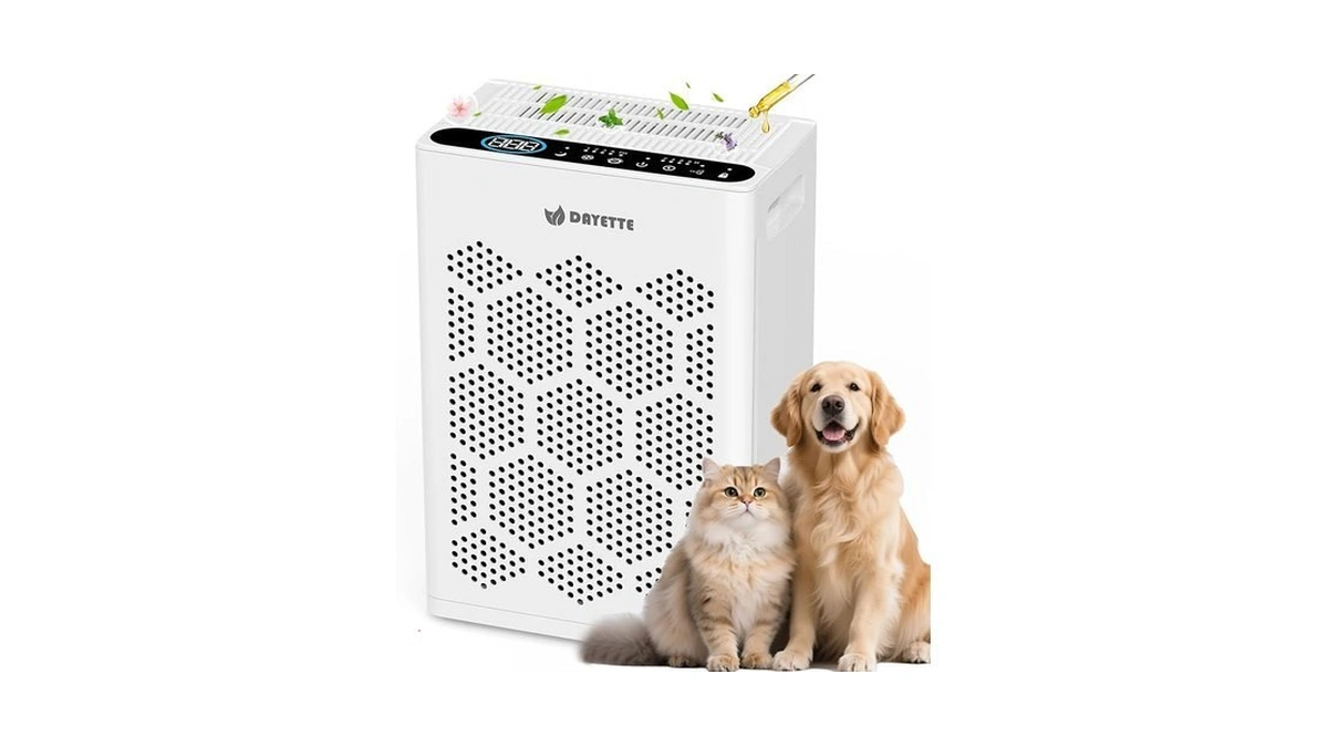Dayette Air Purifiers For Home Large Room Up To 1800