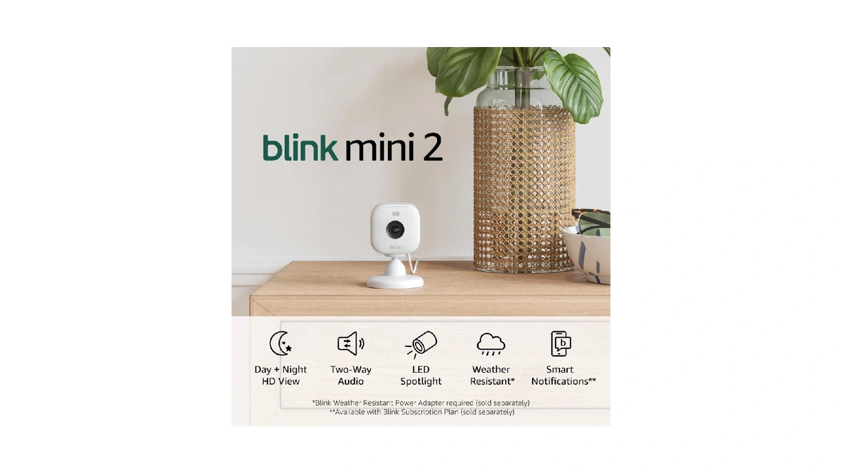 Blink Mini 2 — Home Security & Pet Camera With