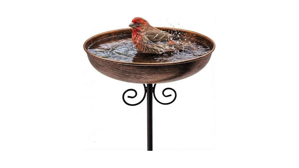 Ouisjyer Small Metal Bird Bath For Outdoors, 10" Dia Bowl