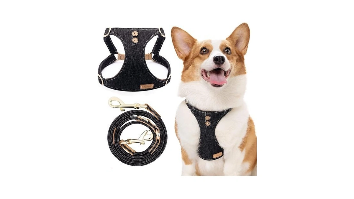 Dog Harness, No Pull Dogs Harness And Multi-function Leash Set