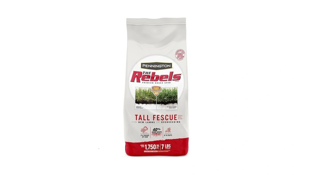 Pennington The Rebels Tall Fescue, Tall Fescue Grass Seeds For