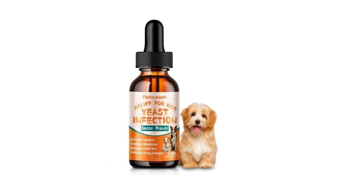Yeast Infection Treatment For Dogs - Natural Yeast Relief For