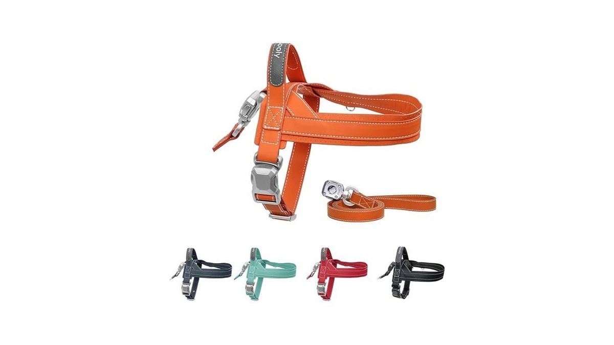 Pawkooly Magease No Pull Dog Harness With 4ft Leash |