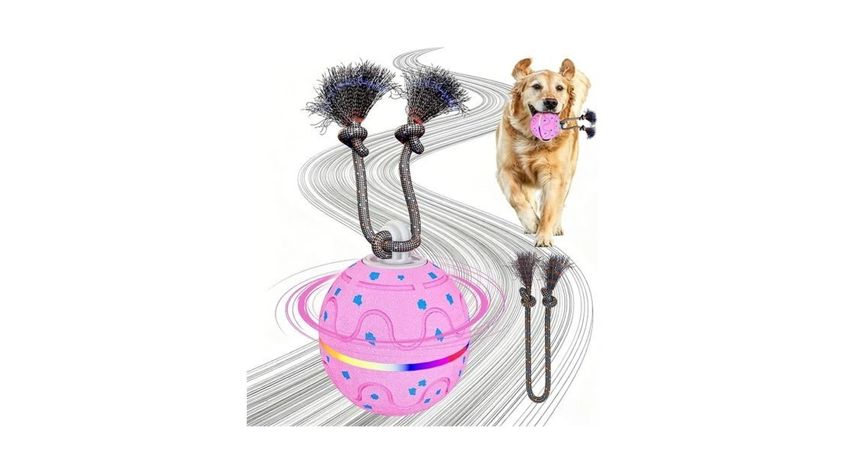 Morhandisn Interactive Dog Ball Toy – Auto Rolling & Bouncing,