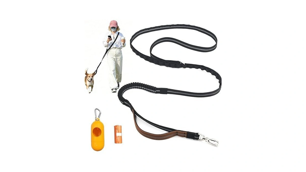 Hands-free Bungee Dog Leash For Small & Large Dogs, 6ft