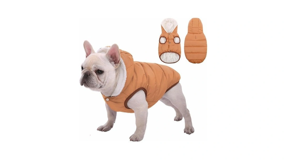 Sawmong Waterproof Dog Winter Coat, Warm Fleece Lined Dog Jacket