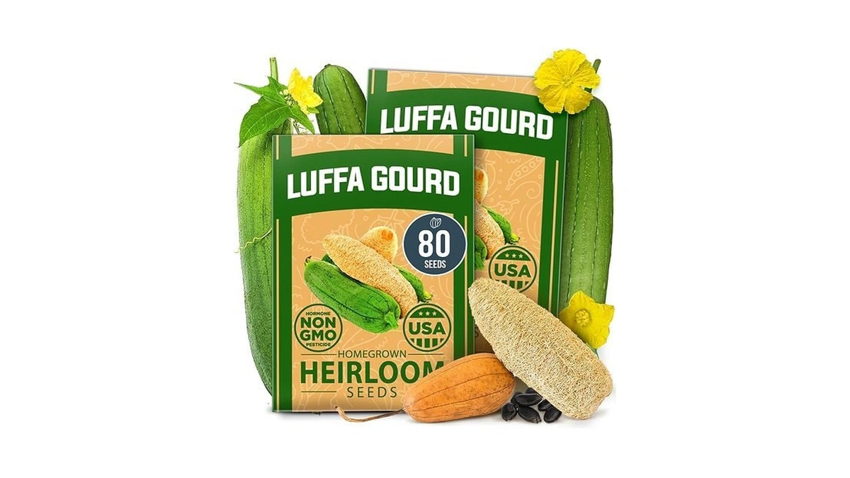 Home Grown Luffa Seeds 80+ Heirloom Non-gmo Loofah Gourd Seeds