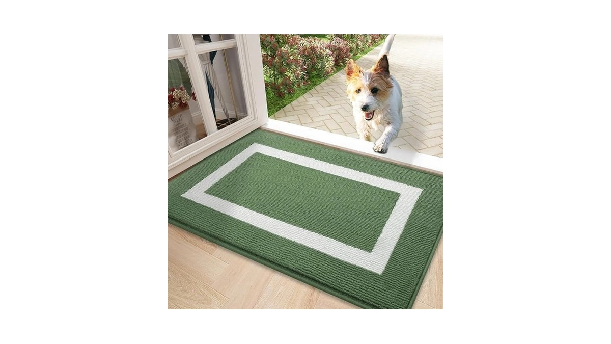 Olanly Indoor Door Mat, 30x17, Non-slip Absorbent Resist Dirt Entrance