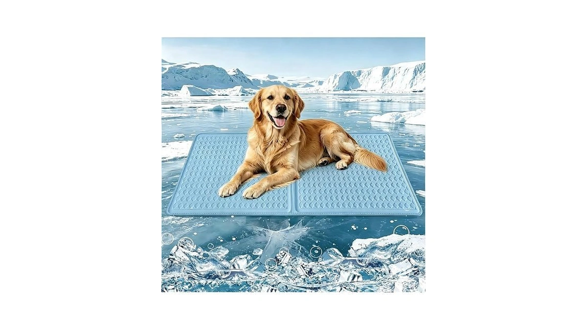 Golopet Cooling Dog Mat 45x23in, Silicone Honeycomb Cooling Mat For