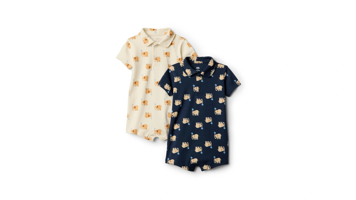 Amazon Essentials Baby Boys' Baby Boys 2-pack Short Sleeve Romper,