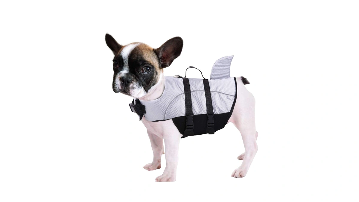 Ripstop Dog Life Jacket Shark Life Vest For Dogs, Safety