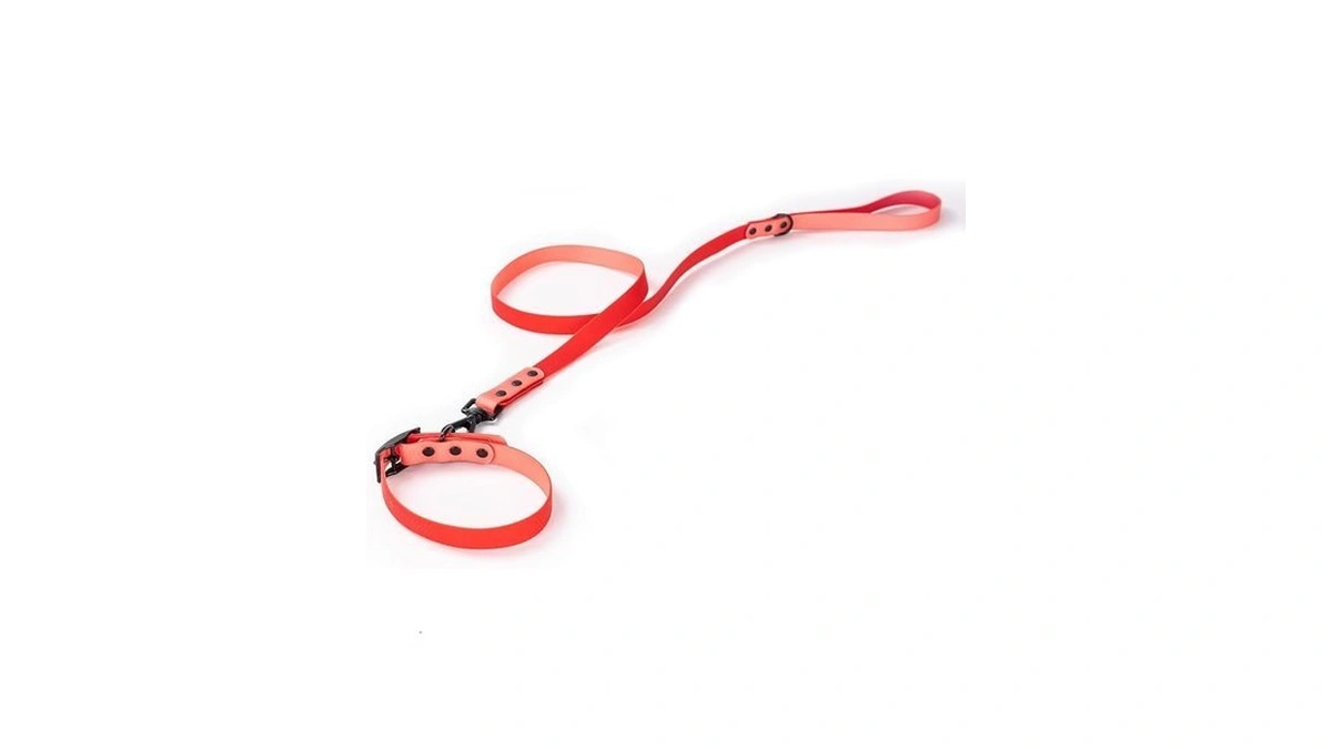 2 Pcs Long Dog Leash For Small,dog Collar,pet Training Leash,slip