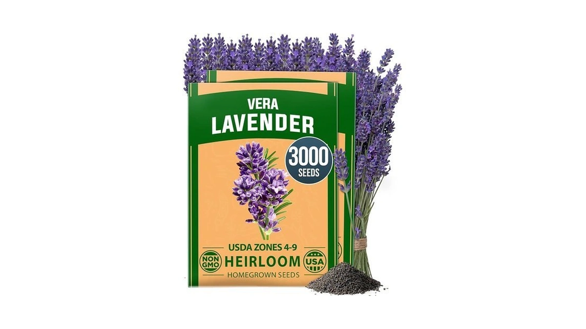 Home Grown Non Gmo English Lavender Seeds 3,000+ Wildflower Seed
