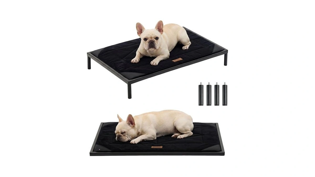 Zomisia Chew Proof Elevated Dog Bed For Medium Dogs -